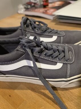 Vans Gray Canvas Low-Top Sneakers with White Stripe